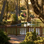 cumhuriyet-bayrami’na-ozel-goruntuler:-cankaya-belediyesi’nden-ataturk-sanat-merkezi-paylasimi