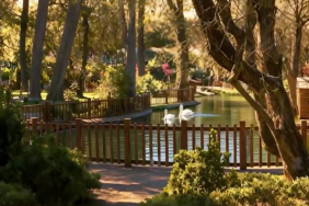 cumhuriyet-bayrami’na-ozel-goruntuler:-cankaya-belediyesi’nden-ataturk-sanat-merkezi-paylasimi